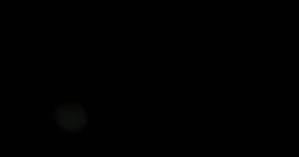 Конфетти Частицы Абстрактный фон с сияющим боке, золотой прогрессивной частицей буке фон . — стоковое видео