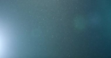 Uçan ve titreşen parçacıkların ışık demeti olarak canlandırıldığı soyut bir arkaplan. Kusursuz döngünün animasyonu. Toz baloncukları kar animasyonu..