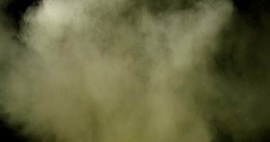 Siyah arka planda patlayan renkli toz. Yüksek hızlı kamera, Yavaş Hareket.