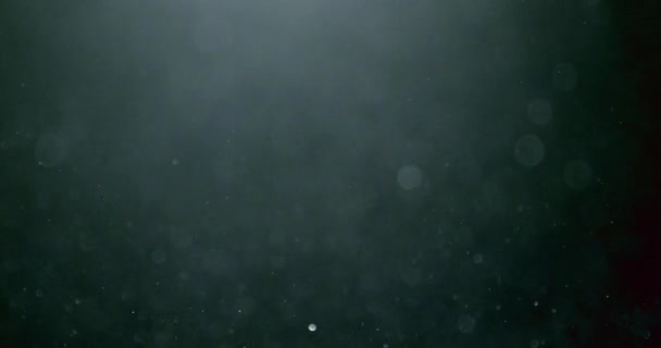 Abstrakter Hintergrund mit Animation fliegender und flackernder Teilchen als Bokeh des Lichts. Animation des nahtlosen Loop.Dust Blasen Schnee Animation. — Stockvideo