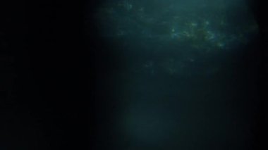 Farklı olaylar ve projeler için Işık Sızıntıları 4K Görüntüsü Ekle ya da Ekran Karıştır kiplerini kullanarak güncel görüntü ve kompozitinizin üzerine bırakın. Lens parlamaları geçiş lensleri ışık sızıntıları oluşturur