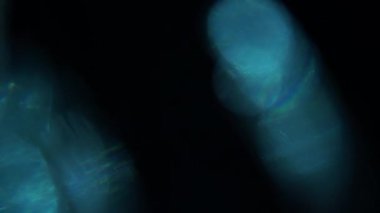 Farklı olaylar ve projeler için Işık Sızıntıları 4K Görüntüsü Ekle ya da Ekran Karıştır kiplerini kullanarak güncel görüntü ve kompozitinizin üzerine bırakın. Lens parlamaları geçiş lensleri ışık sızıntıları oluşturur