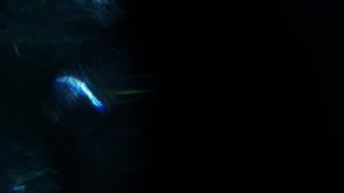 Farklı olaylar ve projeler için Işık Sızıntıları 4K Görüntüsü Ekle ya da Ekran Karıştır kiplerini kullanarak güncel görüntü ve kompozitinizin üzerine bırakın. Lens parlamaları geçiş lensleri ışık sızıntıları oluşturur