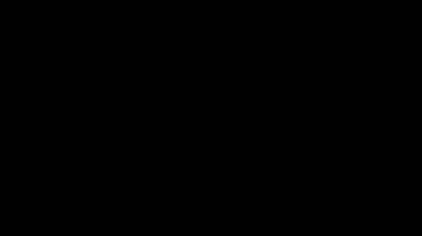 Farklı olaylar ve projeler için Işık Sızıntıları 4K Görüntüsü Ekle ya da Ekran Karıştır kiplerini kullanarak güncel görüntü ve kompozitinizin üzerine bırakın. Lens parlamaları geçiş lensleri ışık sızıntıları oluşturur