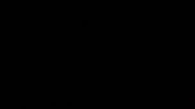 Bokeh Overlay, zarif, ayrıntılı ve hoş bokeh ve parçacıklar görseller, siyah üzerine Bokeh ışıkları arka plan için harika, optik mercekler, mavi, mavi parıltı, bokeh ışıltı, parlak