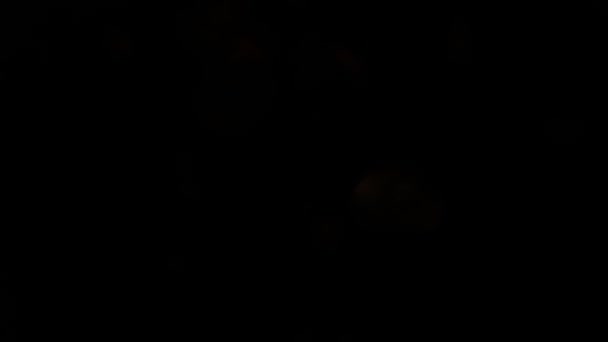 Bokeh coloré et effet de lumière, effet de lumière Bokeh avec effet de grain pour une utilisation dans votre composition