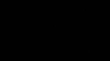 Parlak bokeh efektleri, renkli, spektral cam kaplama ışık sızıntıları - yuvarlak bokeh damlalarından düz çizgilere gerçek kamera cam örtüleri kaplama veya sahne geçişi olarak kullanılır