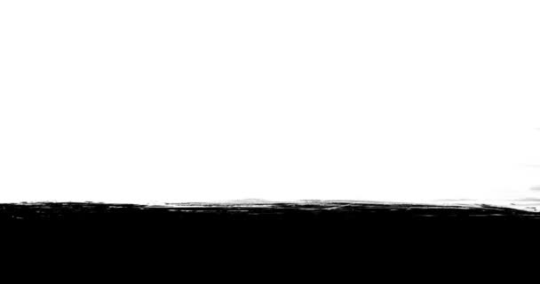 Paint Brush Stroke Frame Intro Fondo / Animación 4k de una secuencia realista de llenado de pinceladas en blanco y negro hecho a mano — Vídeos de Stock