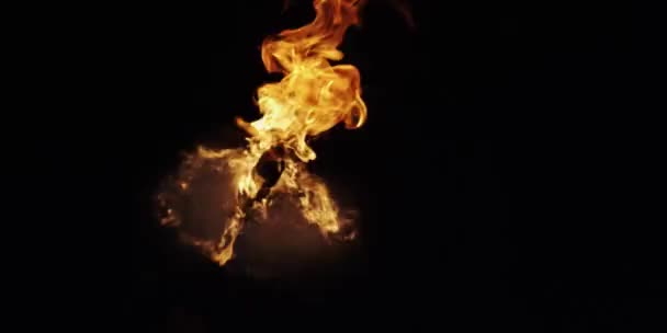きれいな火災、点火と燃焼の遅い動き。黒い背景に本物の炎のラインが点灯します。. — ストック動画