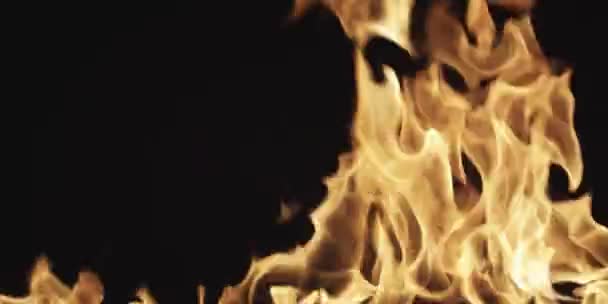 Langzame beweging van schoon vuur, ontbranden en branden. Op een zwarte achtergrond wordt een lijn van echte vlammen aangestoken. — Stockvideo