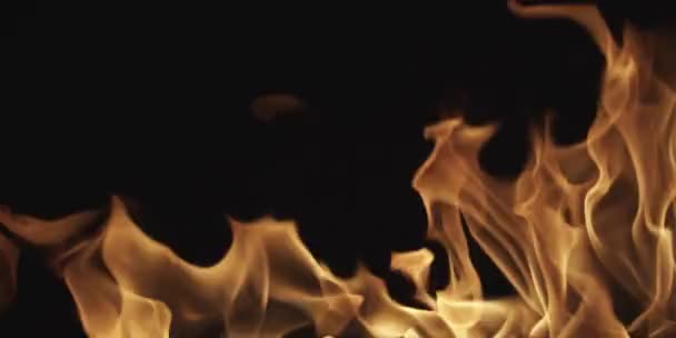 Mouvement lent du feu propre, allumage et combustion. Sur un fond noir, une ligne de vraies flammes est allumée. — Video