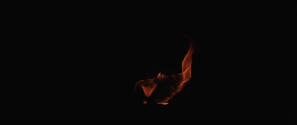 Pomalý pohyb čistého ohně, vznícení a hoření. Na černém pozadí je rozsvícena řada skutečných plamenů. — Stock video
