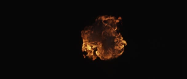 Lento movimento di fuoco pulito, accensione e combustione. Su uno sfondo nero, una linea di fiamme reali è accesa. — Video Stock