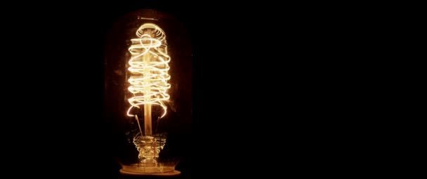 CU Studio shot of clear incandescent light bulb — 图库视频影像