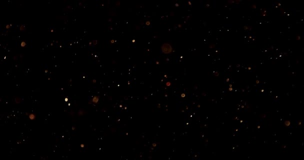 Schöne gold schimmernde Partikel mit Linsenschlag auf schwarzem Hintergrund in Zeitlupe. — Stockvideo