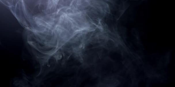 Abstrato fumaça branca em câmera lenta. Fumaça, Nuvem de névoa fria no fundo do ponto de luz. Luz, branco, nevoeiro, nuvem, fundo preto, 4k — Vídeo de Stock