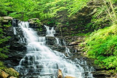 Ricketts Glen Eyalet Parkı 'nda Şelale, Nikon 