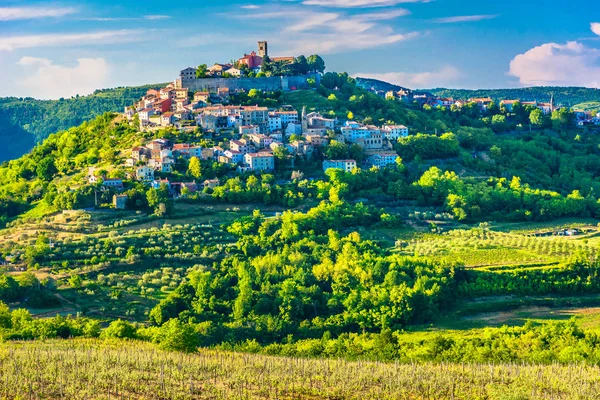 Istria bölge Motovun doğal. / Motovun Komünü Istria bölge doğal manzaraya, lüks seyahat hedef Hırvatistan, Europe. 
