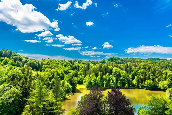 Trakoscan Lake Natuur Landschap Schilderachtig Uitzicht Park Bos Trakoscan Meer — Stockfoto