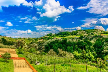 Zagorje peyzaj cennet doğa. / Muhteşem manzara Zagorje bölgesi, Kuzey Hırvatistan doğal manzaraya.