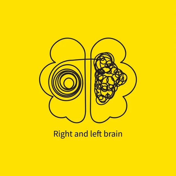 Cerebro derecho e izquierdo — Archivo Imágenes Vectoriales