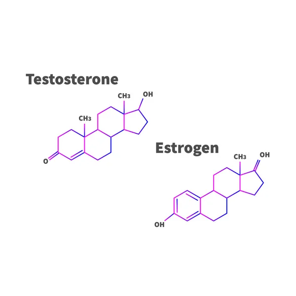 雌激素和睾酮配方隔离在白色背景 向量例证 — 图库矢量图片