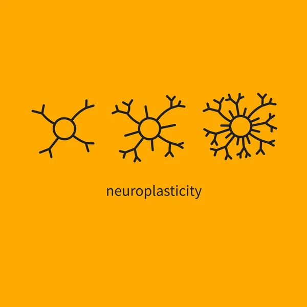 Desarrollo cerebral, actividad mental — Archivo Imágenes Vectoriales