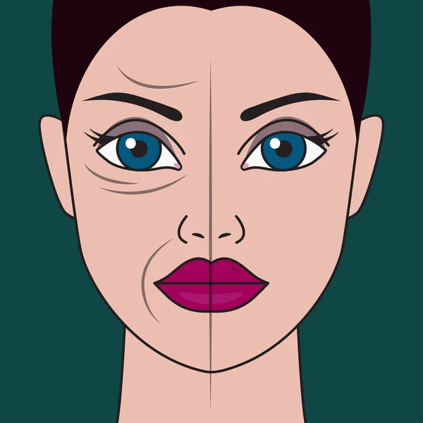 Facial skin rejuvenation — Stock Vector