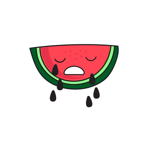 Meloun s pláčem — Stockový vektor