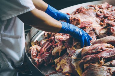 et fabrikası işçisi el alt parçası ham