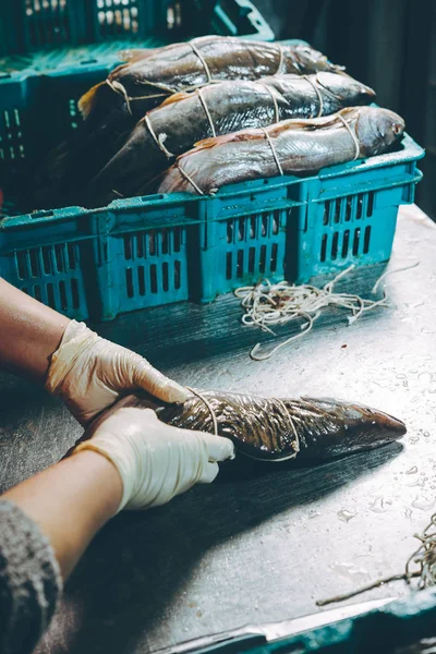 魚工場のプロセス — ストック写真