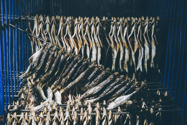 Fish factory process — Stock Photo, Image