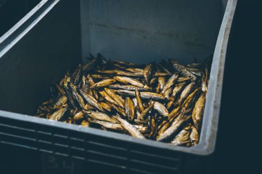 Balık fabrika işlemi