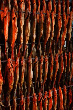 Balık fabrika işlemi