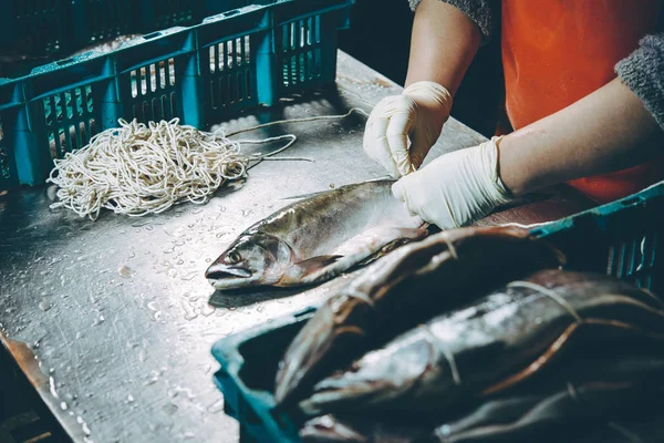 Fish factory process — Stock Photo, Image