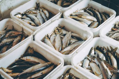 Balık fabrika işlemi