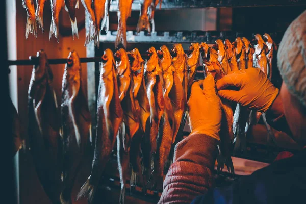 Процесс рыбного завода — стоковое фото