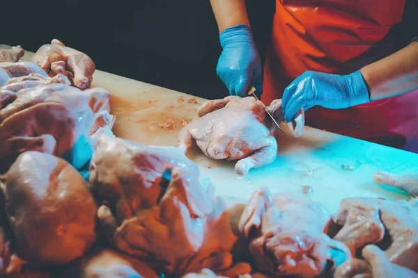 Producción de carne de pollo — Foto de Stock