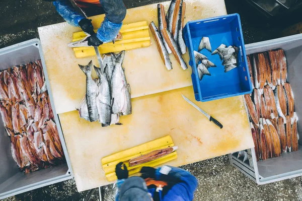 Proces przetwórni ryb — Zdjęcie stockowe