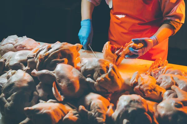 Produzione di carne di pollo — Foto Stock