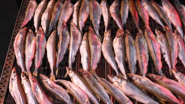 Производство рыбной продукции — стоковое видео