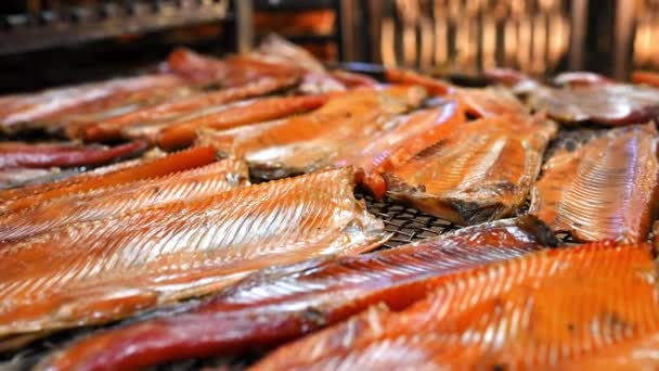 Producción de fábrica de pescado — Vídeo de stock