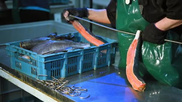 Fábrica de pescado de mar — Vídeos de Stock