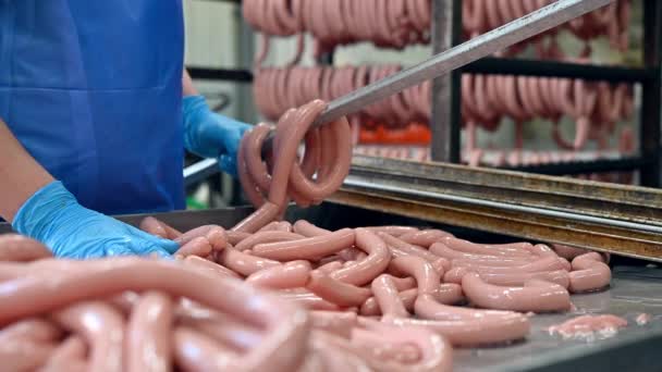 Production of sausage — Stock Video