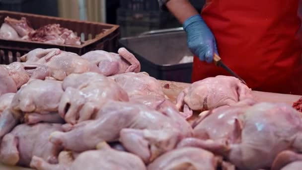 The poultry processing in food industry — Stock Video