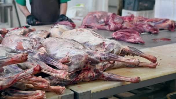 Cortes de carne recién sacrificada — Vídeos de Stock