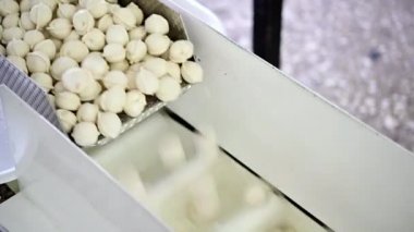 pelmeny yapım fabrikası