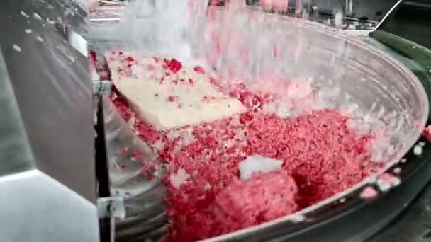 Minced meat making — Stock Video