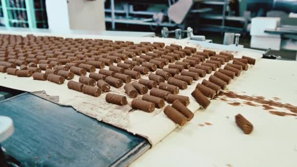 Cukrovinky výroba čokoládových procesů — Stock video