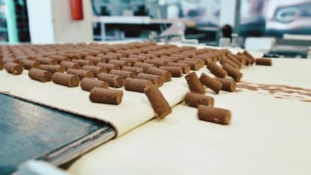 Processo de fabricação de chocolate fábrica de doces — Vídeo de Stock